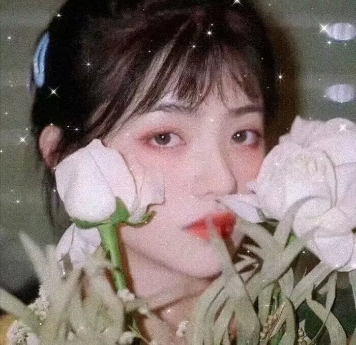 夏普的敌人